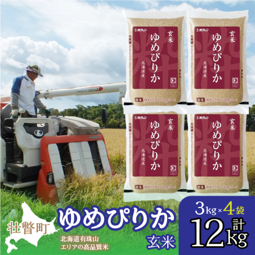 【新米】【令和7年産】（玄米12kg）ホクレンゆめぴりか（3kg×4袋） SBTD076 1326298 - 北海道壮瞥町