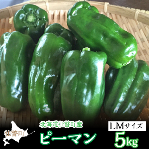 <2025年7月下旬よりお届け>北海道壮瞥町産 ピーマン 約5kg SBTL014 1326314 - 北海道壮瞥町