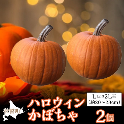 ＜2024年10月初旬よりお届け＞ハロウィンかぼちゃ Lまたは2Lサイズ玉2個 SBTL015 1326317 - 北海道壮瞥町