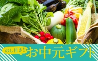 【夏のギフト】高冷地　朝採れ夏野菜～ふるさとセット～