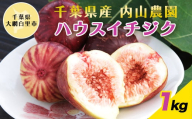 【数量・期間限定】千葉県産 ハウスイチジク 1ｋｇ ふるさと納税 イチジク いちじく 無花果 ハウス栽培 果物 千葉県 大網白里市 送料無料 AS003