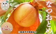 [№5757-0334]桃 白桃 なつおとめ 約2kg 5～8玉 もも フルーツ 果物 岡山 美咲町産
