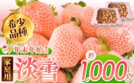 【年末年始発送】ご家庭用淡雪 約1000g ｜ フルーツ 果物 いちご 淡雪 熊本 玉名