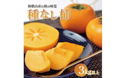 【2025年発送】種なし柿 3kg以上【那智勝浦グルメ市場】【JG1】 1327121 - 和歌山県那智勝浦町