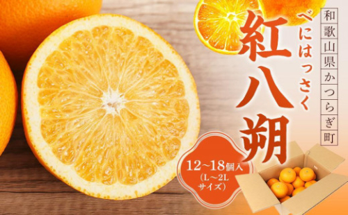 先行予約！希少な紅はっさく 12～18個入り（L～2Lサイズ）［2026年1月中旬頃から発送］［KG9］ 1327220 - 和歌山県那智勝浦町