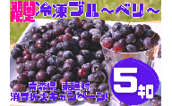 【感謝企画】冷凍ブルーベリー5kg（１kg×５袋）