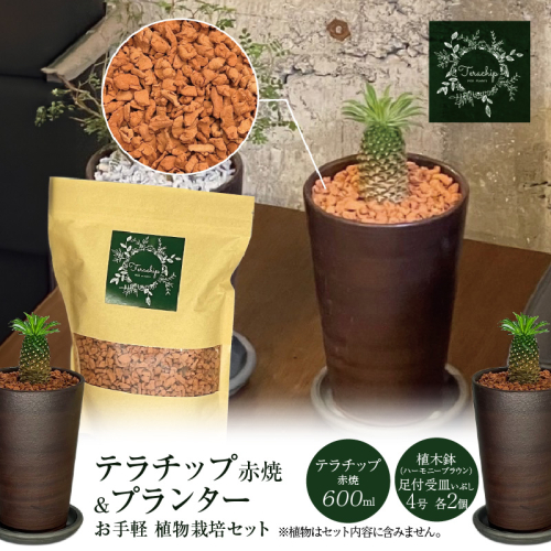 三河焼植木鉢ハーモニーブラウン【テラチップ赤焼】プランター お手軽植物栽培セット H188-004 1327320 - 愛知県碧南市