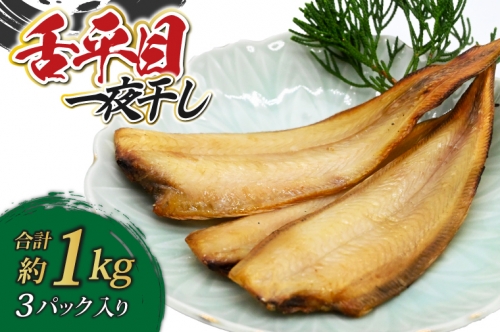 舌平目 一夜干し 3パック ( 総重量 約1kg ) 干物 平目 ヒラメ 冷凍 産地直送 魚 おかず 大洗町 1327914 - 茨城県大洗町