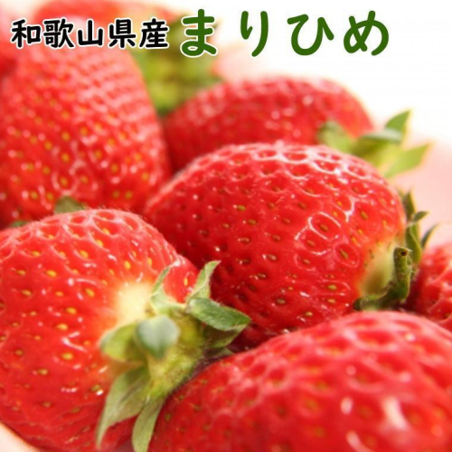 【2025年4月発送】和歌山県産ブランドいちご「まりひめ」約300g×2パック入り【TM100】 1328249 - 和歌山県那智勝浦町