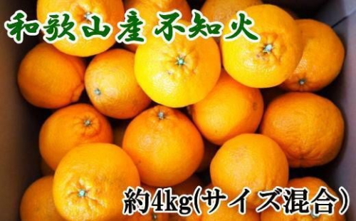 和歌山県産不知火約4kg（サイズ混合）★2026年2月下旬頃より順次発送［TM130］ 1328253 - 和歌山県那智勝浦町