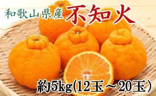 和歌山県産不知火約5kg（12玉～20玉おまかせ）2L～5Lサイズ★2025年2月下旬頃より順次発送【TM131】 1328254 - 和歌山県那智勝浦町