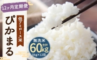 【12ヶ月定期便】低アミロース米ぴかまる 約5kg×12回 無洗米 計約60kg
