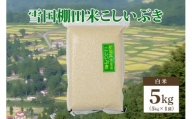 数量限定|令和5年産|新潟県上越市清里区北野産|雪国棚田米こしいぶき5kg(5kg×1)白米