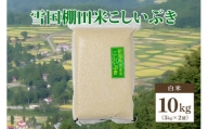 数量限定|令和5年産|新潟県上越市清里区北野産|雪国棚田米こしいぶき10kg(5kg×2)白米