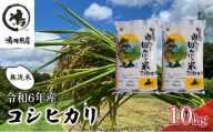 【先行予約】R6年産　コシヒカリ　無洗米　10ｋｇ [№5346-0187]