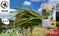 【先行予約】R6年産　コシヒカリ　無洗米　5ｋｇ [№5346-0197]