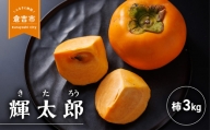 輝太郎（きたろう） 柿 果物 フルーツ 期間限定 数量限定 鳥取県 倉吉市