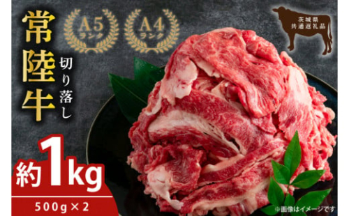 最高級常陸牛 切り落し すき焼き・牛丼など♪ たっぷりの約1000g（約500ｇ×2）【1kg 1キロ 国産 焼き肉 すき焼き 牛肉 国産牛 黒毛和牛 和牛 国産黒毛和牛 ブランド牛肉 ブランド牛 お肉 A4ランク A5ランク 鹿嶋市 鹿嶋 茨城県】(KCW-8)