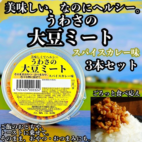 大豆 加工品 うわさの大豆ミート スパイスカレー味 80g×3本 セット 健康 ヘルシー 1329252 - 福岡県朝倉市