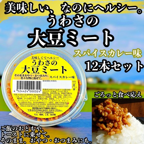 大豆 加工品 うわさの大豆ミート スパイスカレー味 80g×12本 セット 健康 ヘルシー 1329253 - 福岡県朝倉市