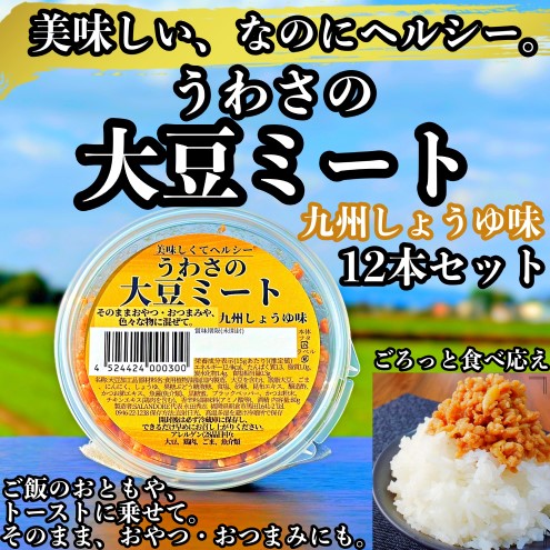 大豆 加工品 うわさの大豆ミート 九州しょうゆ味 80g×12本 セット 健康 ヘルシー 1329255 - 福岡県朝倉市