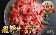 【訳あり】 [A5等級] 飛騨牛 切り落とし 500g | 牛肉 肉 和牛 国産牛 肉 焼肉 すき焼き a5 不揃い 小分け 冷凍 日付指定 トキノ屋食品 本巣市 【202405_父の日】グルメ