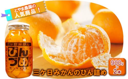 三ヶ日みかん みかんのびん詰詰め合わせ2本セット（900g×2本セット）静岡 浜松市 1329801 - 静岡県浜松市