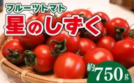 【 星のしずく 750g 】《2024年11月上旬～順次出荷》 野菜 トマト 星のしずく 完熟 高濃度 糖度8以上 高級 スイーツ ギフト 贈答用 徳島県 阿波市 原田トマト