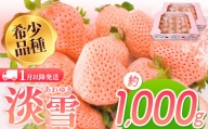 【1月以降発送】淡雪 約1000g ｜ フルーツ 果物 いちご 淡雪 熊本 玉名