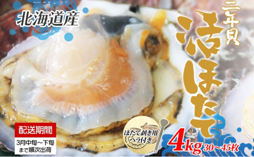 北海道産 活ほたて 2年貝 約 4kg 30枚～45枚 2026年3月中旬～3月下旬頃お届け 殻付き 貝付き 帆立 ホタテ ほたて 貝 魚介 海産 海鮮 貝柱 噴火湾 刺身 焼き フライ 生産者支援 産地直送 送料無料  1330144 - 北海道洞爺湖町