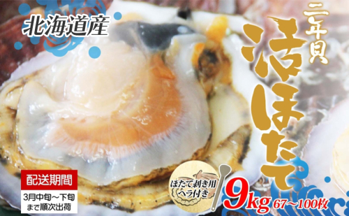 北海道産 活ほたて 2年貝 約 9kg 67枚～100枚 2026年3月中旬～3月下旬頃お届け 殻付き 貝付き 帆立 ホタテ ほたて 貝 魚介 海産 海鮮 貝柱 噴火湾 刺身 焼き フライ 生産者支援 産地直送 送料無料  1330145 - 北海道洞爺湖町