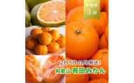 【 2・5・11月 全3回 】 柑橘定期便A【IKE7w】