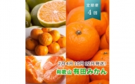 【 2・4・10・12月 全4回 】 柑橘定期便A【IKE5w】