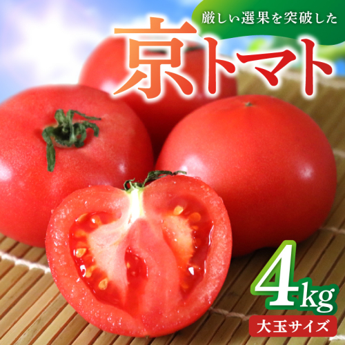 【先行予約】京丹後産・京トマト 4kg（12～24玉） 春夏発送（2025年5月中旬～発送） 1331265 - 京都府京丹後市