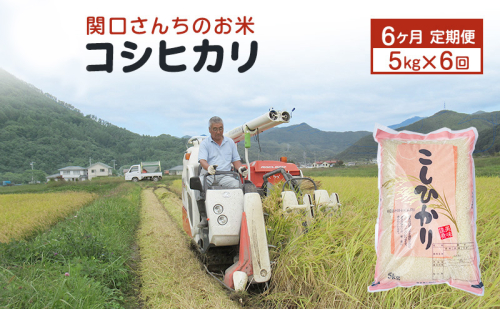 米 定期便 6ヶ月 関口さんちのお米 コシヒカリ 5kg お米 こめ コメ 精米 白米 ご飯 こしひかり 長野 信州 6回 半年 お楽しみ 1331548 - 長野県上田市