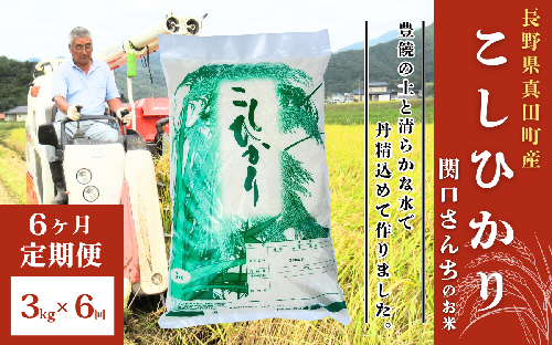 米 令和7年産 定期便 6ヵ月 コシヒカリ 関口さんちのお米 3kg お米 白米 ブランド米 定期 6回 1331549 - 長野県上田市