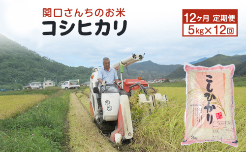 米 定期便 12ヶ月 関口さんちのお米 コシヒカリ 5kg お米 こめ コメ 精米 白米 ご飯 こしひかり 長野 信州 12回 お楽しみ 1331550 - 長野県上田市
