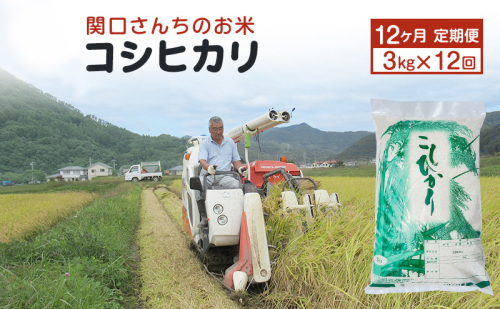 米 令和7年産 定期便 12ヶ月 関口さんちのお米 コシヒカリ 3kg お米 こめ コメ 新米 精米 白米 ご飯 こしひかり 長野 信州 12回 1年 お楽しみ 1331551 - 長野県上田市