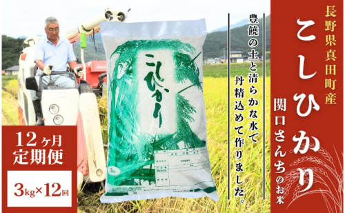 米 令和7年産 定期便 12ヵ月 コシヒカリ 関口さんちのお米 3kg お米 白米 ブランド米 定期 12回 1331551 - 長野県上田市