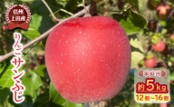 【信州上田産】りんご サンふじ 家庭用 約5kg（12個～16個）