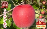 【信州上田産】りんご サンふじ 家庭用 約10kg（24個～32個）