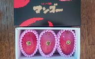 熊本県産 完熟マンゴー（化粧箱入）L（3玉入）or 2L（2玉入）【2024年7月から8月上旬発送予定】