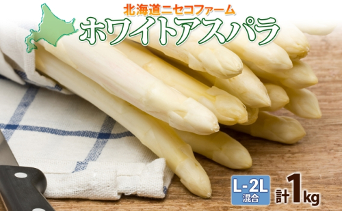 北海道産 アスパラガス ホワイト 約 1kg L - 2L サイズ 混合 アスパラ 旬 朝採り 新鮮 お取り寄せ 産地直送 産直 野菜 農作物 詰め合わせ 国産 北海道 倶知安町  1332047 - 北海道倶知安町
