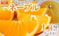 【2025年発送】びぜん　ネーブル　オレンジ　みかん