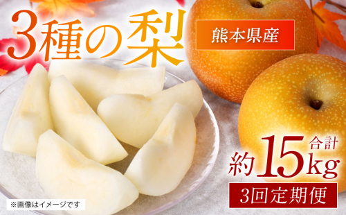 【先行予約】 熊本県産 3種の梨の定期便 約5kg ×3回 (計15kg) 【2024年8月下旬より順次発送】 1332468 - 熊本県八代市