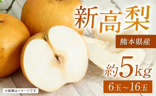 【先行予約】 熊本県産 新高梨 サイズミックス 約5kg 6玉～16玉 【2025年9月上旬より順次発送】 1332471 - 熊本県八代市