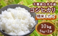 コシヒカリ 10kg 千葉県産 減農薬 減化学肥料 精米