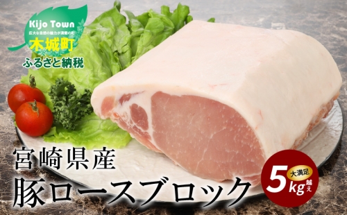 宮崎県産豚ロースブロック　5kg越え K16_0058_1 133299 - 宮崎県木城町
