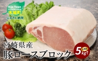 宮崎県産豚ロースブロック　5kg越え K16_0058