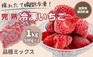 【採れたて瞬間冷凍！】滋賀県愛荘町産　冷凍いちご 1kg（500g×2）品種ミックス  BJ05